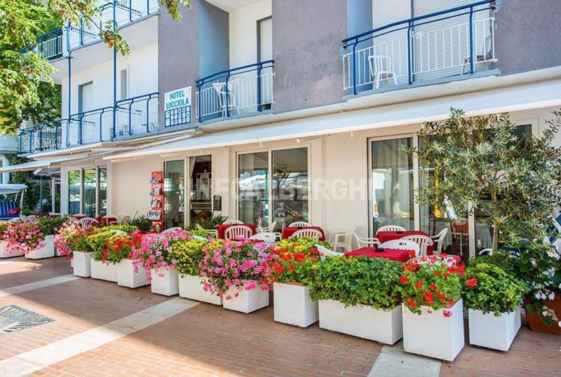 B&B Hotel Lucciola Cattolica Exteriér fotografie